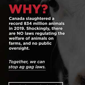 Fundraising Page: Arnold 4thevoiceless